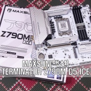 최대 SSD 5개를 장착할 수 있는 화이트 메인보드! MAXSUN(맥선) TERMINATOR Z790M D5 ICE