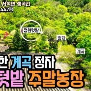 매물375 홍천 고즈넉한 계곡 정자 있는 정원 텃밭 계곡 주말농장 1억3천만원