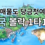 매물도 당금첫여 수국볼락 폭풍 입