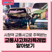시청역 교통사고로 주목받는 '교통사고처리특례법'은 무엇?