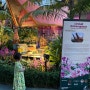 28개월 아기랑 3박6일 싱가포르 여행 : 가든스 바이 더 베이 (플라워돔)