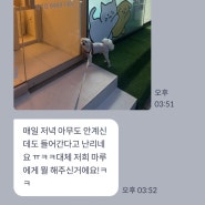 강아지들이 좋아하는 미용실 아뜰리에멍 강동 암사애견미용실