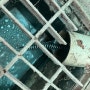 수원하수구] 수원 권선구 금곡동 싱크대하수구막힘으로 배관뚫음작업과정