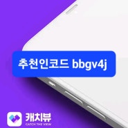 캐치뷰 추천인코드 bbgv4j