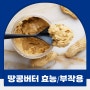 땅콩버터효능 땅콩 부작용과 칼로리. 견과류가 아니다?