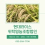 [인천/강화] 밥맛이 좋은 고품질 쌀의 품격 :: 현대라이스위탁영농조합법인