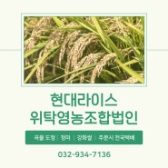 [인천/강화] 밥맛이 좋은 고품질 쌀의 품격 :: 현대라이스위탁영농조합법인