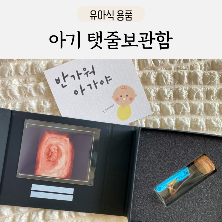 아기 탯줄보관함 육오빠 배냇머리 보관함으로도 굿 : 네이버 블로그