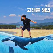 영덕 고래불 해수욕장 개장 국민 야영장 전망대 포토존