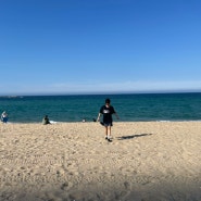 강릉 맛집이랑 편집샵 잔뜩 둘러본 여행🌊