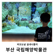 부산 국립해양박물관 아쿠아리움 영도 아이와가볼만한곳 실내나들이로 추천
