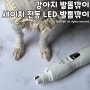 강아지발톱깎이 세이치 전동 LED 그라운더 추천 혈관이 잘 보여서 쉽고 안전하게 가능