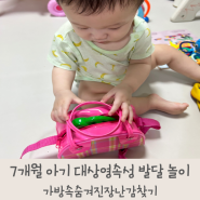 7개월 아기 대상영속성 발달 놀이 가방속숨겨진장난감찾기