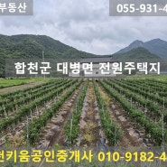 297. [합천부동산 토지] 합천군 대병면 성리 전원주택 짓고 텃밭하기 좋은 토지 매매 [합천땅 합천토지 합천땅 합천부동산]