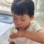 5살 아이와 함께 키울 수 있는 귀여운 팬더마우스