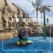 시흥 거북섬 수영장 웨이브파크 요금 준비물 주차