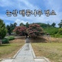 논산 배롱나무 명소 여행 코스