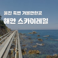 경북 울진 가볼만한곳 울진 죽변 해안 스카이레일
