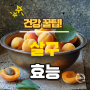 살구 효능&부작용 총 정리