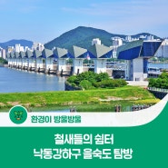 철새들의 쉼터 낙동강하구 을숙도 탐방 (Feat. 부산녹색구매지원센터)