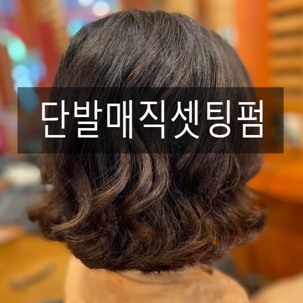 전주 단발머리 매직셋팅펌 여자 단발스타일 알아볼까요 : 네이버 블로그