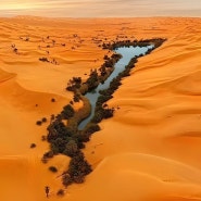 사막여행 .. 리비아 오아시스