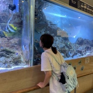 일본한달살기#Day9 열대박물관 관람 및 기니피크 안아보기🥰
