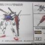 [???-RG/HG] 1/144 I.W.S.P