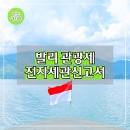 발리 여행 준비물 관광세 납부 전자세관신고서 작성 방법