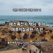 대만 타이베이 여행 DAY 3 (1) :: 타이베이 아침 러닝, 예스폭진지 택시 투어 - 예류지질공원, 스펀 풍등 날리기