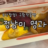 구황작물빵 강릉 정남미명과 부산롯데백화점 팝업
