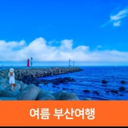 부산 여름여행, 부산 송정해수욕장 청사포, 국내 여름 휴가지 추천