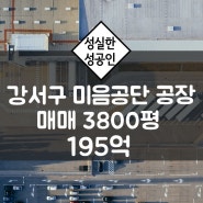부산 강서구 미음공단 미음지구 미음산단 3800평 매매