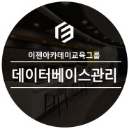 데이터베이스 관리 시스템의 중요성과 관련 직업 전망 알아보기