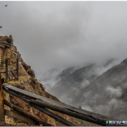 Fairy Meadows/Gilgit/Pakistan (페어리미도우/길깃/파키스탄)