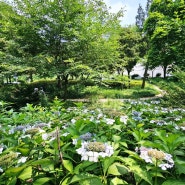 서울 도심 여름나들이 동대입구역 장충단공원