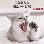 고양이 칫솔, 어떤걸 써야 할까?