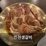 동탄역 갈비 맛집 인천생갈비 내돈내산 후기