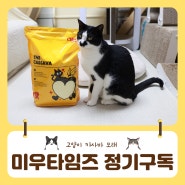 여름철 고양이모래 교체주기 미우타임즈 정기구독으로 안심관리