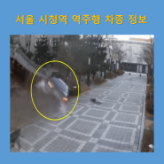 서울 시청역 교차로 역주행 차종 'G80', 과거 급발진 의심 사고 재소환