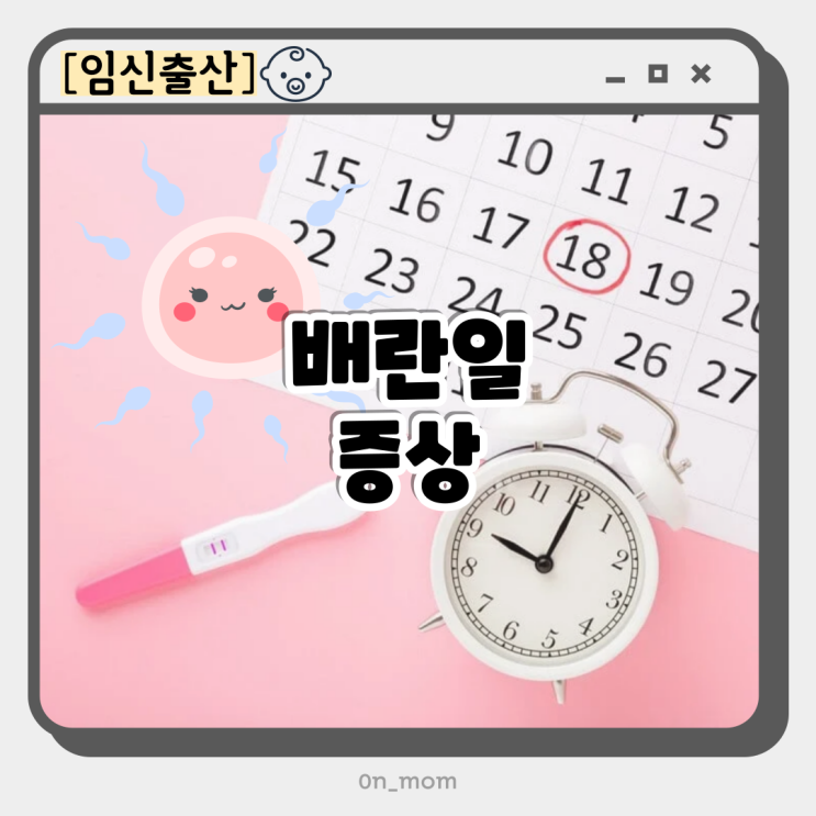 배란일 증상 뜻 배란혈 배란출혈 배란통 몸무게 배란기 계산법 계산기 : 네이버 블로그
