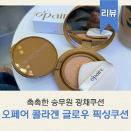 아델라라 오페어 콜라겐 글로우 픽싱쿠션 촉촉한 승무원 광채쿠션