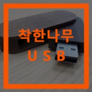 특별한 USB 나무 USB[홀츠바우 착한나무집프로]