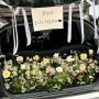 창원 트렁크 프러포즈 이벤트 출장 가능한 꽃집 특별한 프러포즈 준비해 보세요!