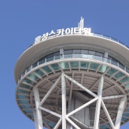 남당항 홍성스카이타워 절경(?)