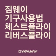 [기구 사용법] 체스트 플라이 / 리버스 플라이 - 가슴운동 / 어깨운동