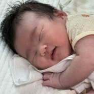 초산맘의 신생아 키우는 삶 : 아기 사진으로 가득찬 포토덤프