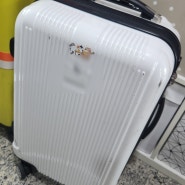 해외여행 5박 짐싸기 허니문가방챙기기