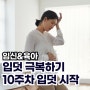 임신 중 가장 힘든 시기 입덧에 대한 모든 것 입덧 시작 언제 끝나?