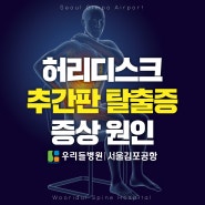 허리디스크 추간판탈출증 증상과 원인｜우리들병원 서울김포공항